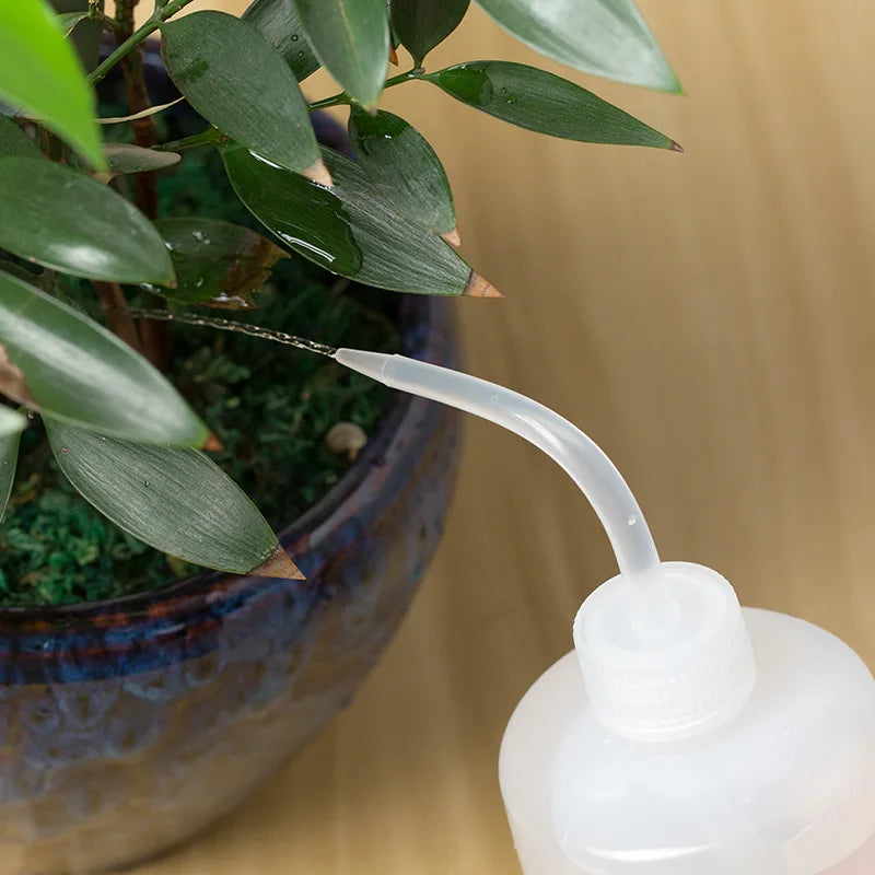 Precision Pour Watering Can