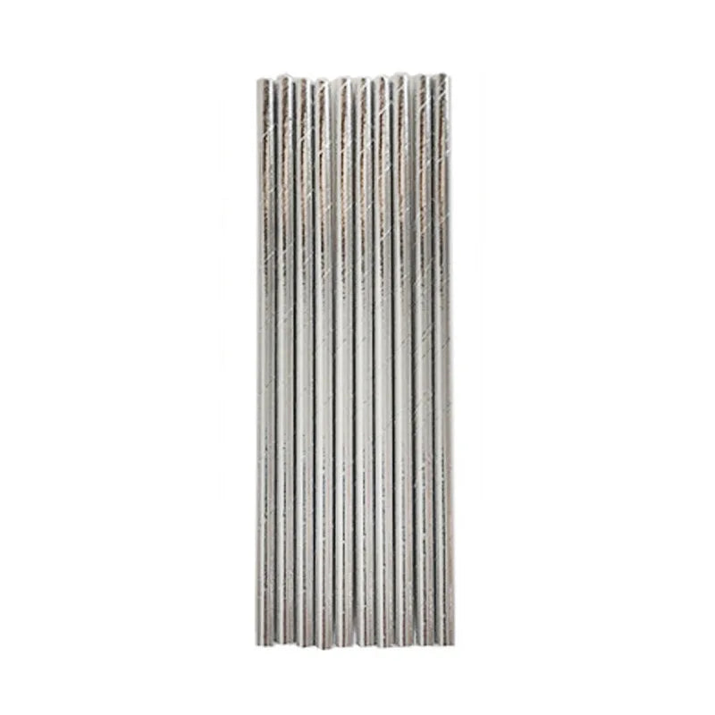 Silver Party Tableware & Decoration Set