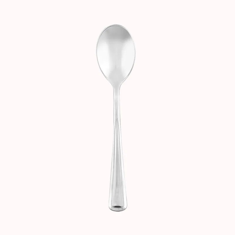 Silver Party Tableware & Decoration Set